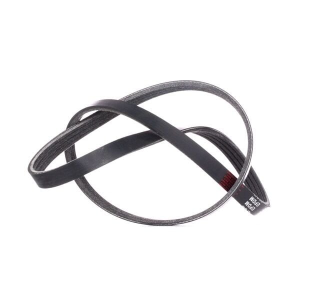 V Kayısı 571814A000