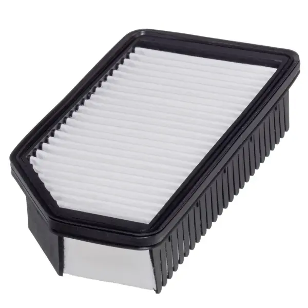 Hava Fıltresı S281131W000