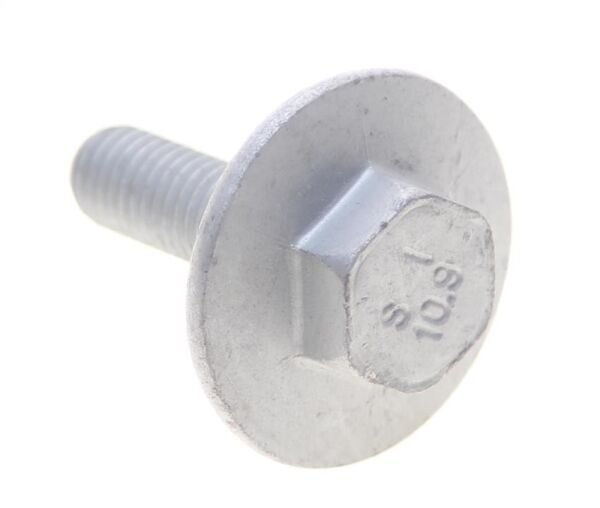 Cıvata 252894A001