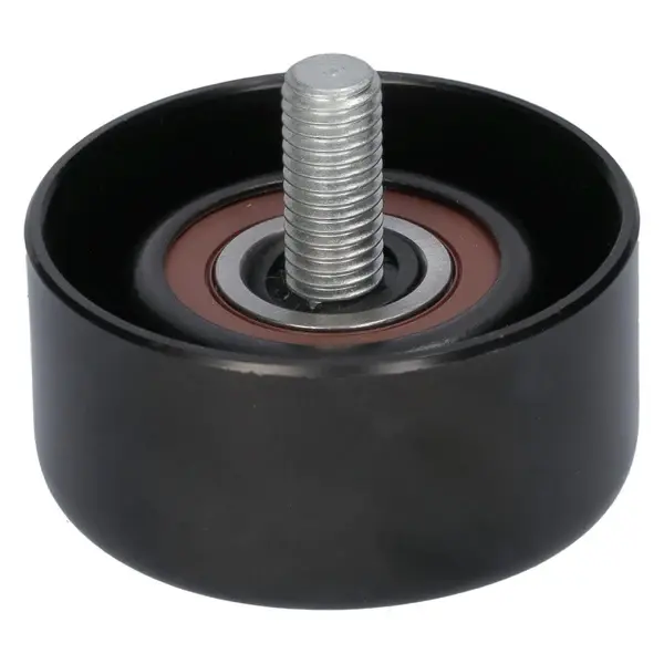 KAYIS GERGISI 2528603801