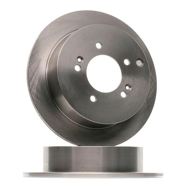 Arka Fren Diski 584113A300