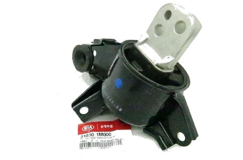 Sanzuman Montaj Braketı F/L 218301M000