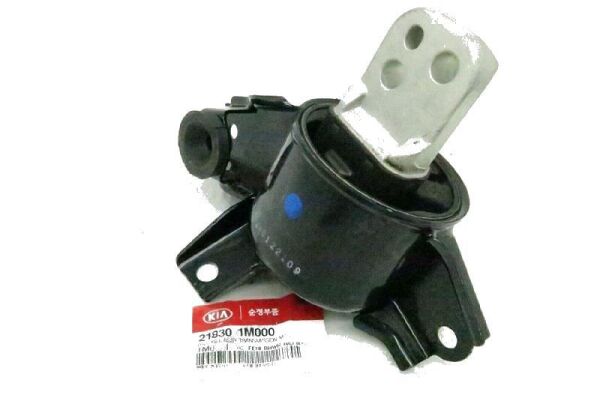 Sanzuman Montaj Braketı F/L 218301M000
