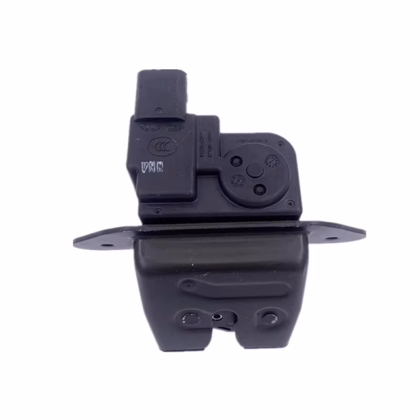 Bagaj Kaput Kılıdı 81230G6010