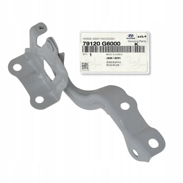 Picanto Ön Kaput Mentesesı Sağ 79120G6000