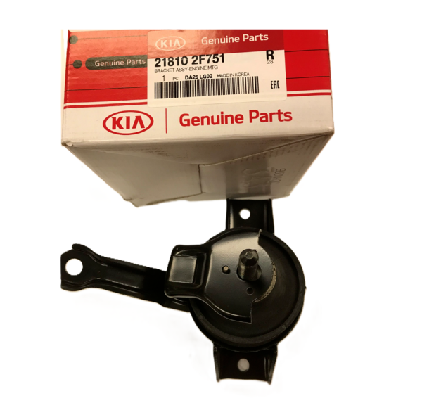 Motor Askı Braketı 218102F751