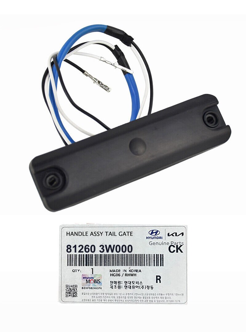 Bagaj Kaput Acma Kolu 812603W000