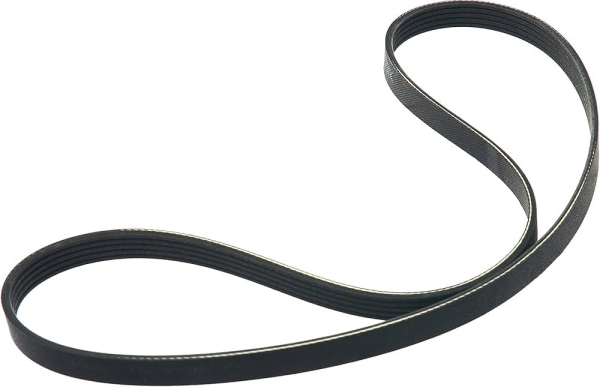 RİO V-Kayısı 2521203200