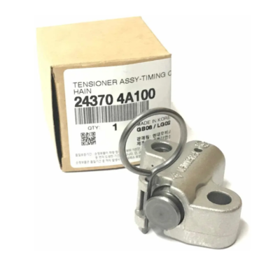 EKSANTRIK ZINCIR GERGISI 243704A100