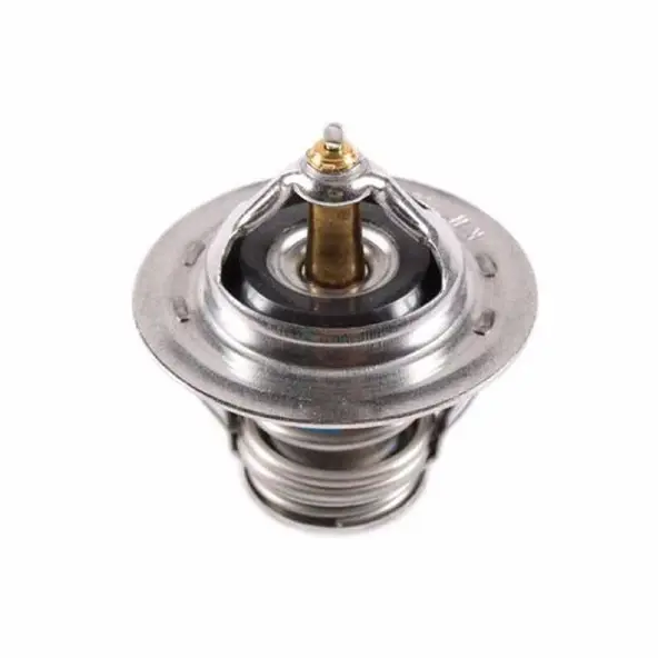 TERMOSTAD 2551042010