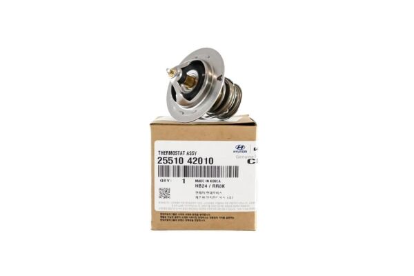 TERMOSTAD 2551042010