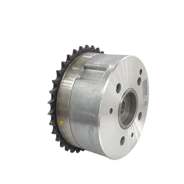 EKSANTRIK ZINCIR DISLISI 2435004000