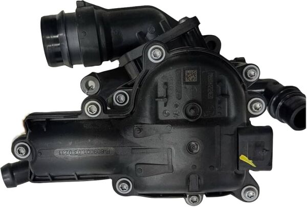 TERMAL MODUL 256002M810