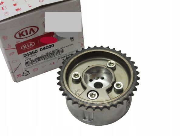 EKSANTRIK ZINCIR DISLISI 2435004000