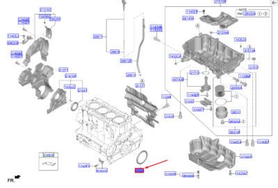 YAG KECESI-ARKA 214433N100