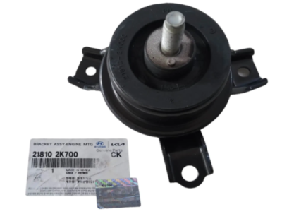 Motor Montaj Braket Boru 218102K700