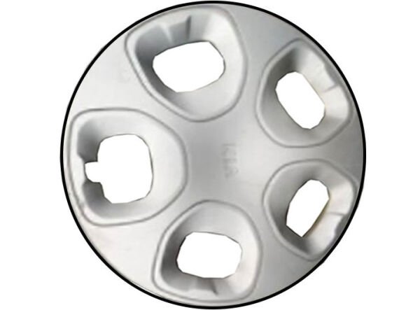 Jant Kapagı 529604E250