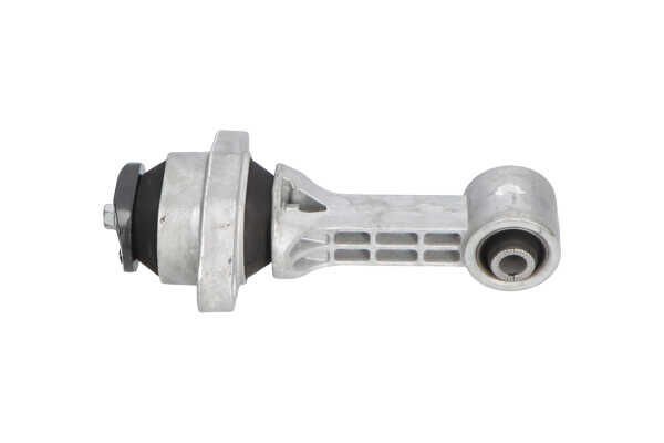 Braket 219501P100