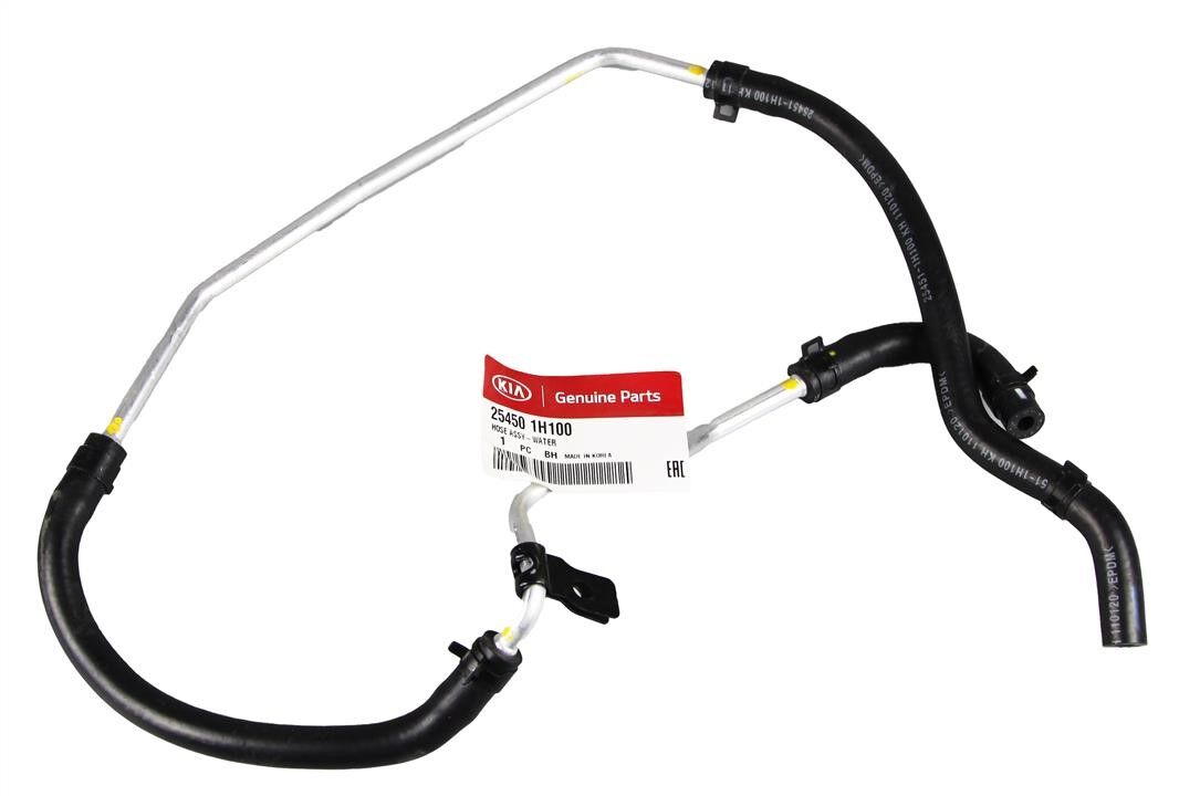 SU HORTUMU 254501H100