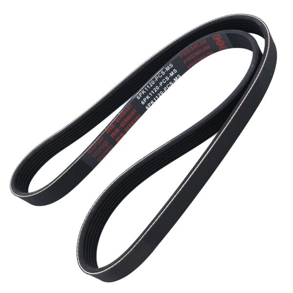 V-Kayısı 252122U030