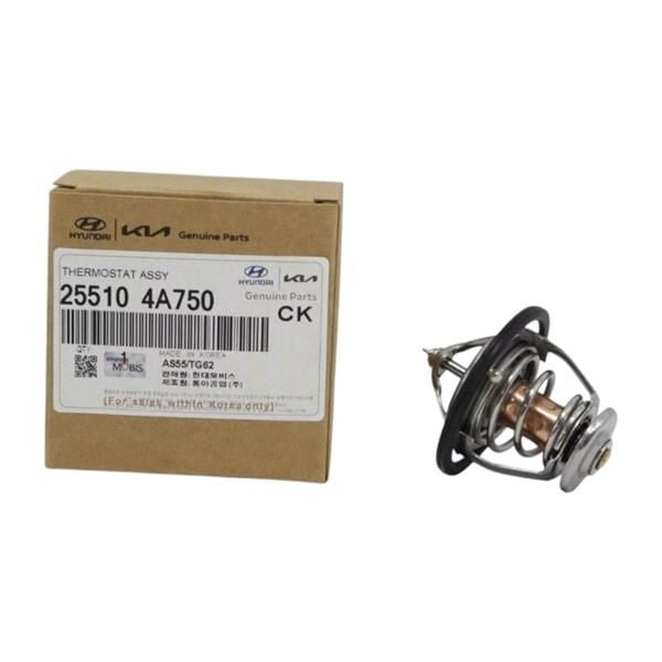 Termostat 255104A750