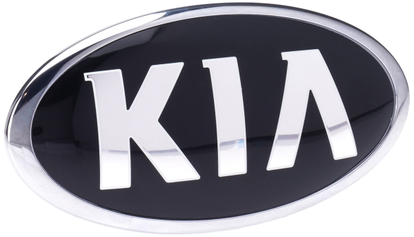 Rio Kia Amblem 863201W150