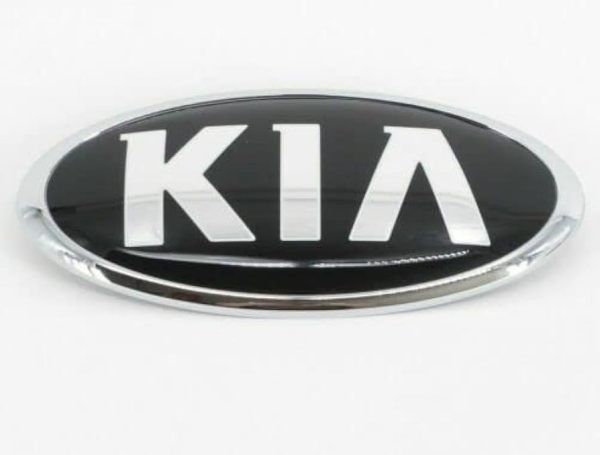 Rio Kia Amblem 863201W150