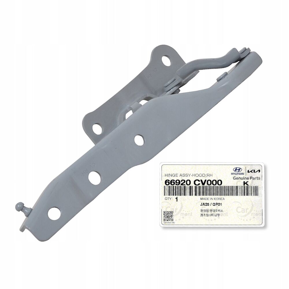 KAPUT MENTESESI SAG 66920CV000