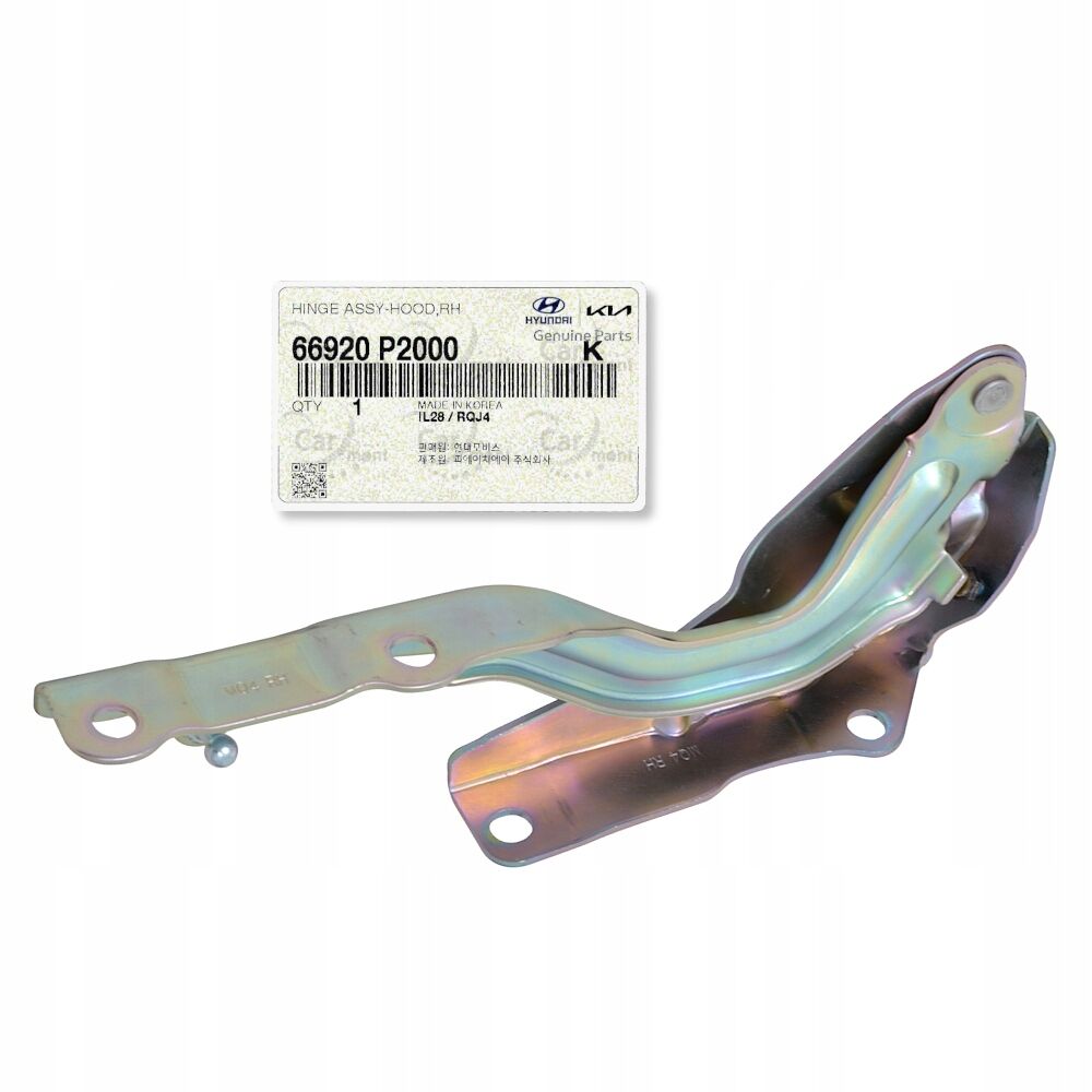 ON KAPUT MENTESESI-SAG 66920P2000