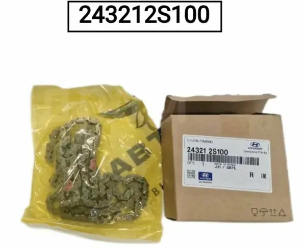 Eksantrık Zıncırı 243212S100