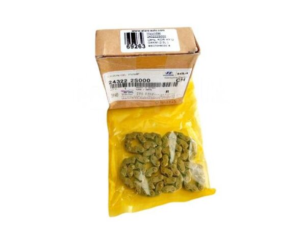 YAG POMPASI ZINCIRI 243222S000