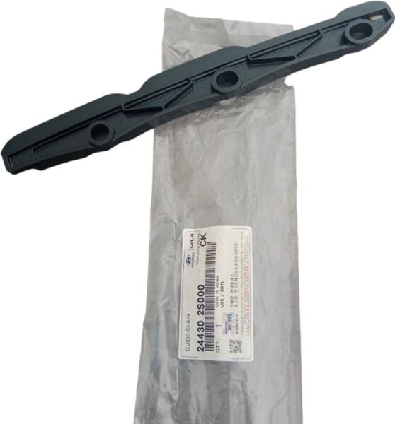 EKSANTRIK ZINCIR KLAVUZU 244302S000