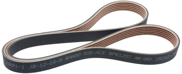 RİO V-Kayısı 252122B120