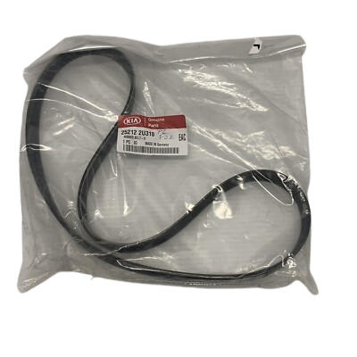 V-Kayısı 252122U310