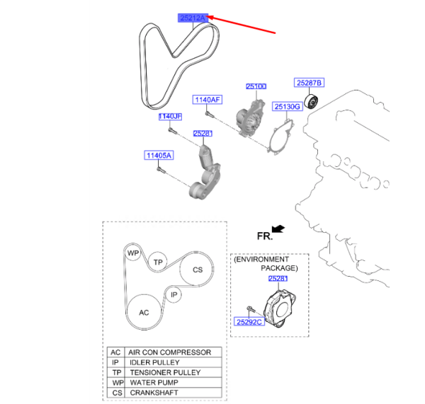 V-Kayısı 252122U310