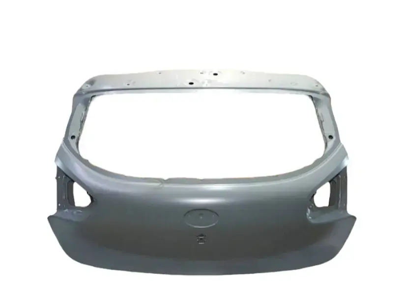 Bagaj Kaput Bakalıtı 73700A2010