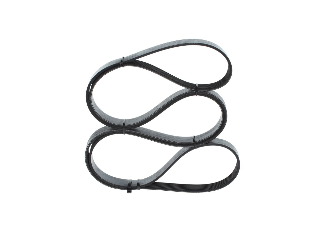 V Kayısı 252124A700