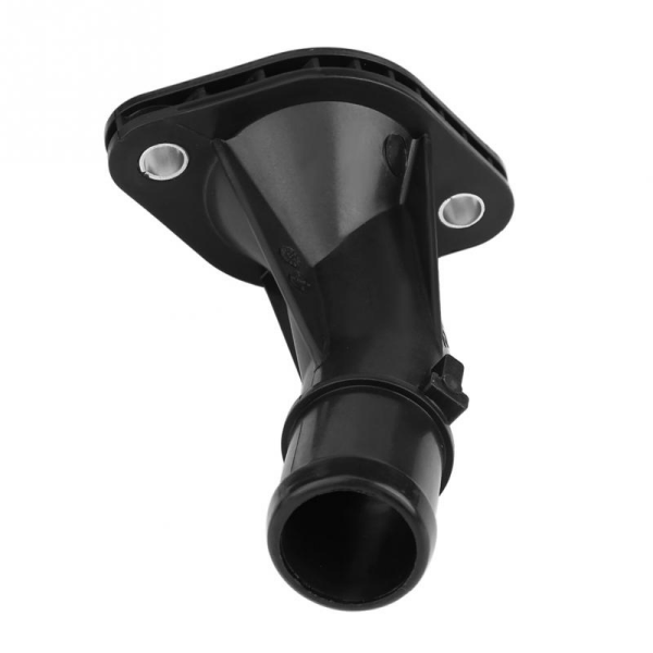 Termostat Kapağı 256312B051