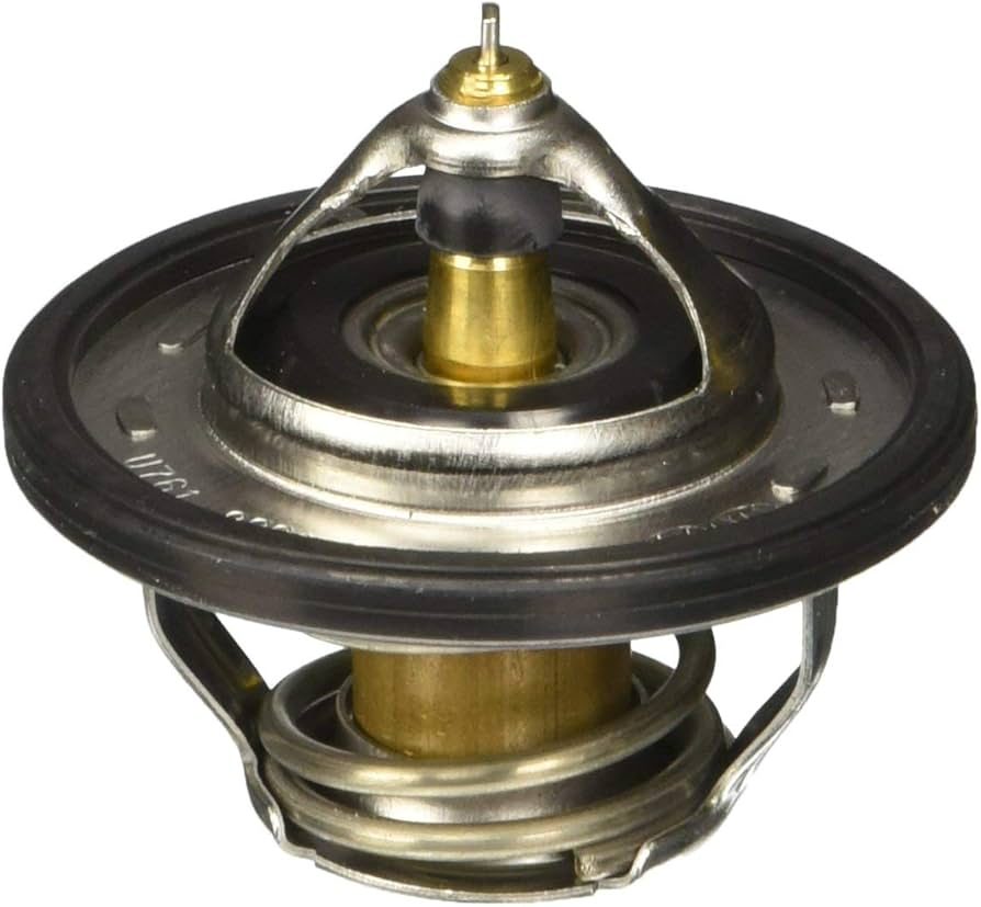 Termostat 255002B000
