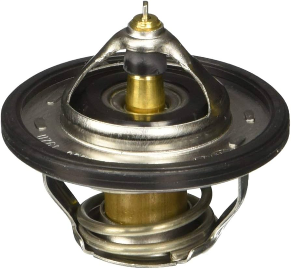 Termostat 255002B000