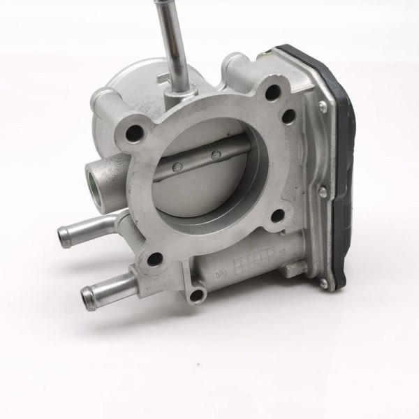 Gaz Kelebegi 351002B300