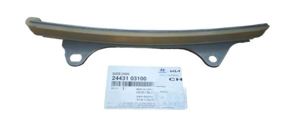 Stonic Eksantrik Zinciri Klavuzu 2443103100