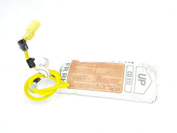 Aırbag 80620J7000