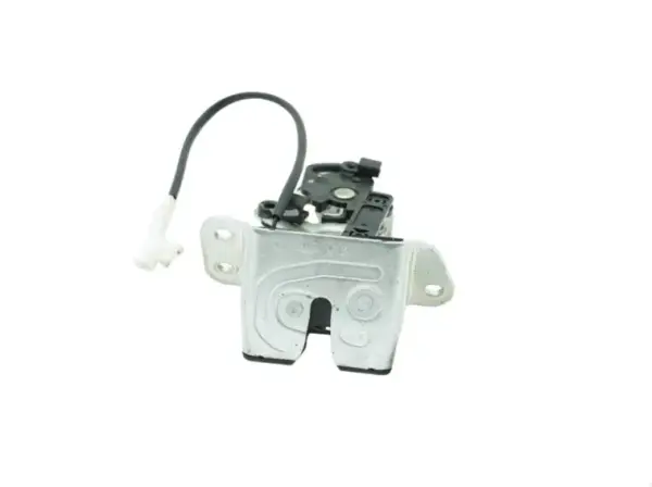 Bagaj Kaput Kılıdı Merkezı H/B 812301G210