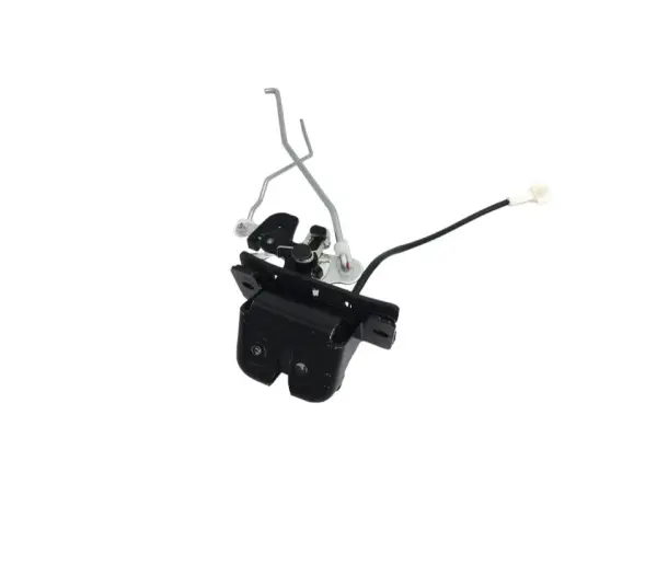 Bagaj Kaput Kılıdı F/L 812303E001