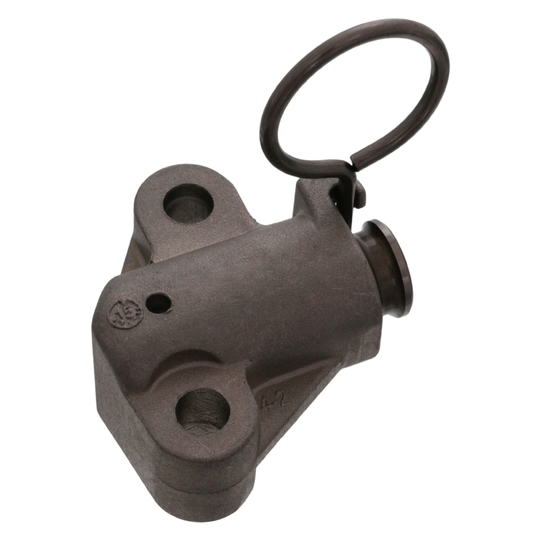 Eksantrık Zıncır Gergısı 243702A700