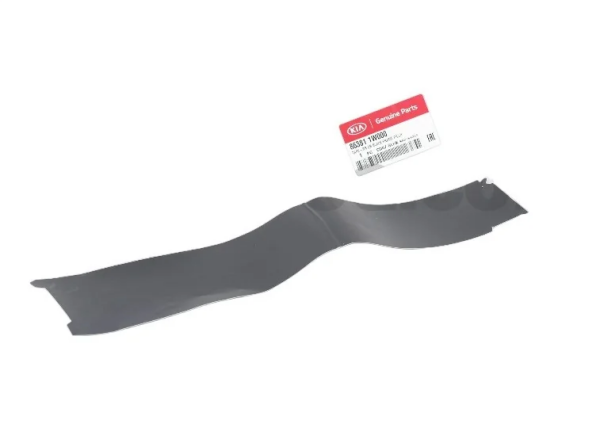 RİO Sol Arka Kapı Direk Bandı 863811W000