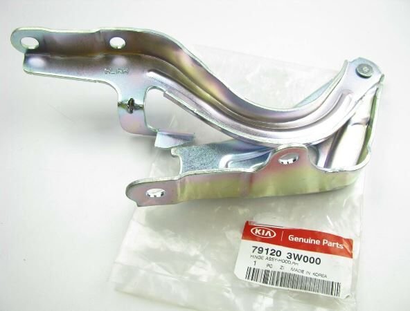 Ön Kaput Mentesesı Sag 791203W000