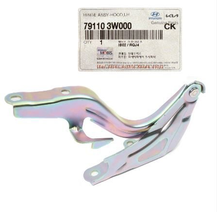 Ön Kaput Menteşesi Sol 791103W000