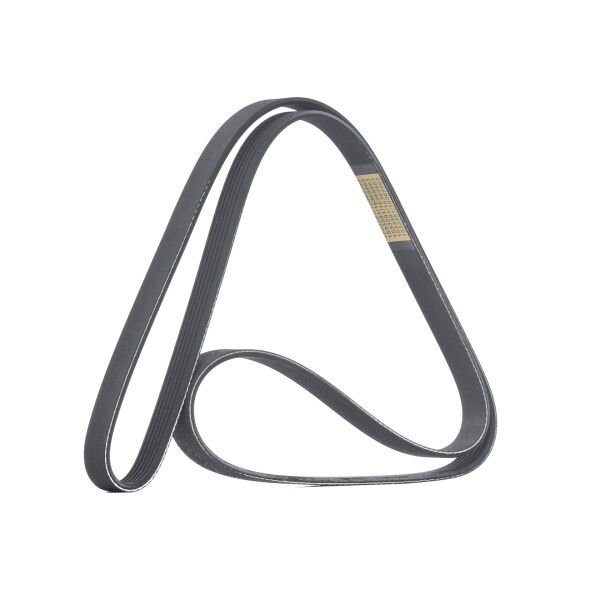 V Kayısı 2521227020